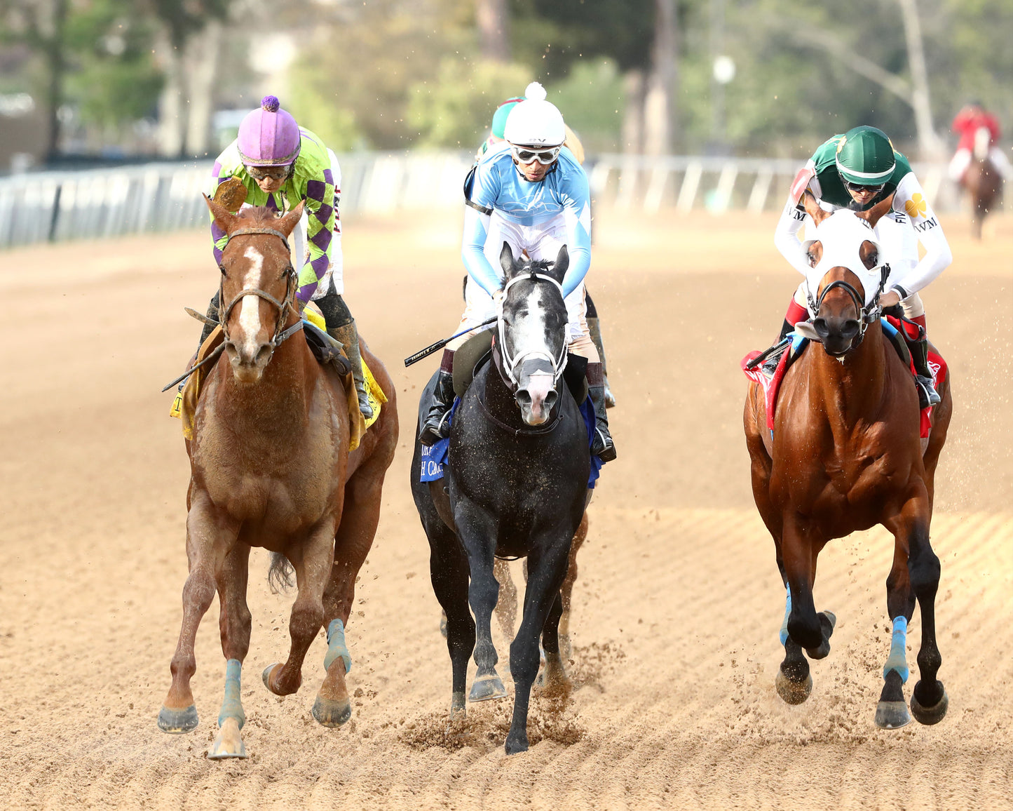 TEJANO TWIST - Whitmore Stakes G3 - 03-14-26 - R10 - OP - Gallop Out 01 - Coady Media - Kurtis Coady Photography