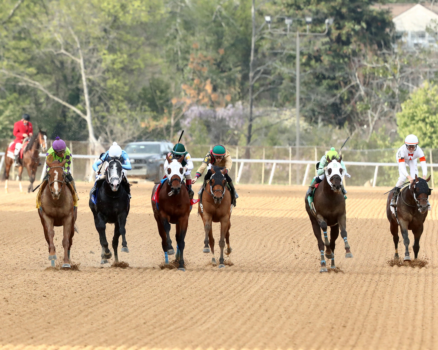 TEJANO TWIST - Whitmore Stakes G3 - 03-14-26 - R10 - OP - Head On 01 - Coady Media - Kurtis Coady Photography