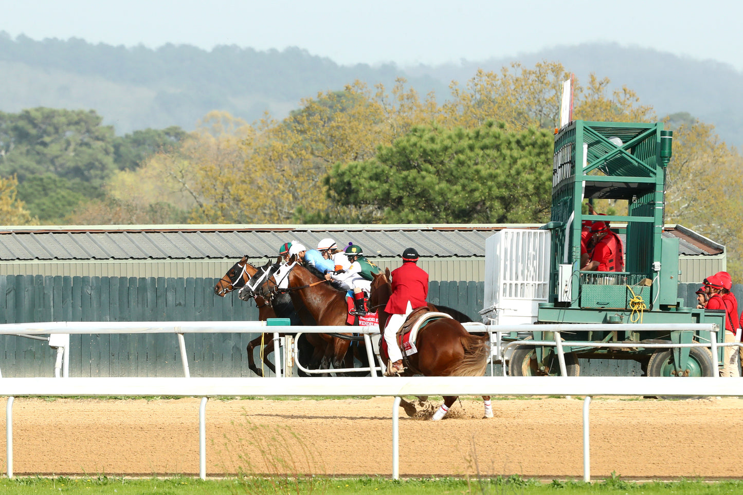 TEJANO TWIST - Whitmore Stakes G3 - 03-14-26 - R10 - OP - Start 01 - Coady Media - Kurtis Coady Photography