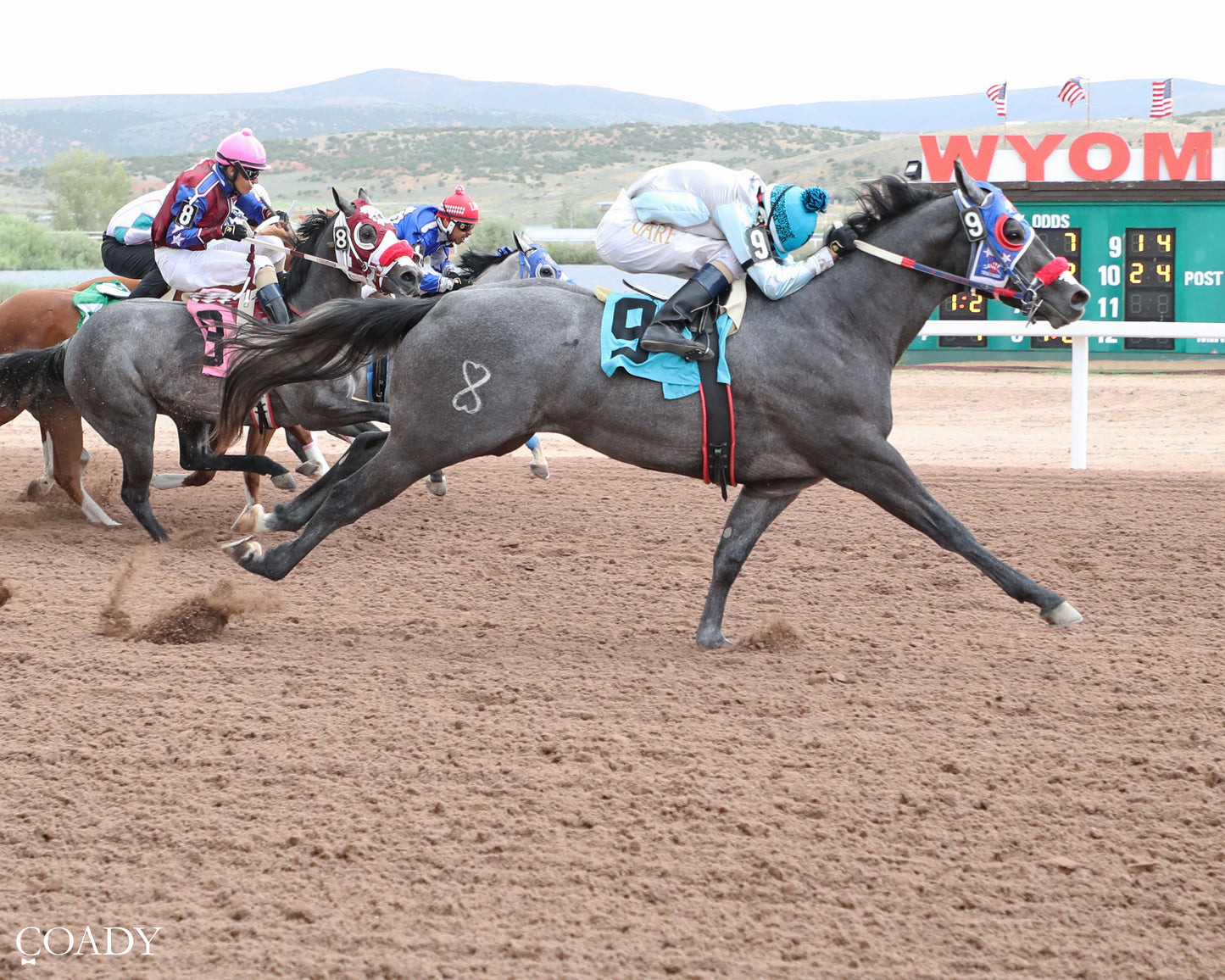 TELL JUNIOR - 307HR Wyoming Bred Juvenile - 06-27-26 - R04 - WYO