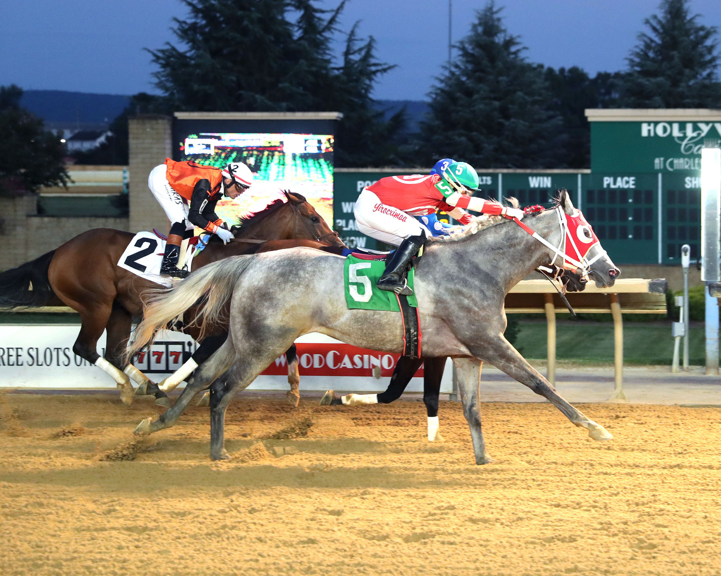 THELASTSAY - 082826 - Race 06 - CT Autumn WVB Overnight Stakes - Finish 01