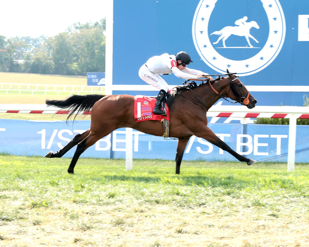 TIFFANY - The AGS Kentucky Turf Cup Invitational G2 - 09-05-26 - R07 - KD - Finish 01