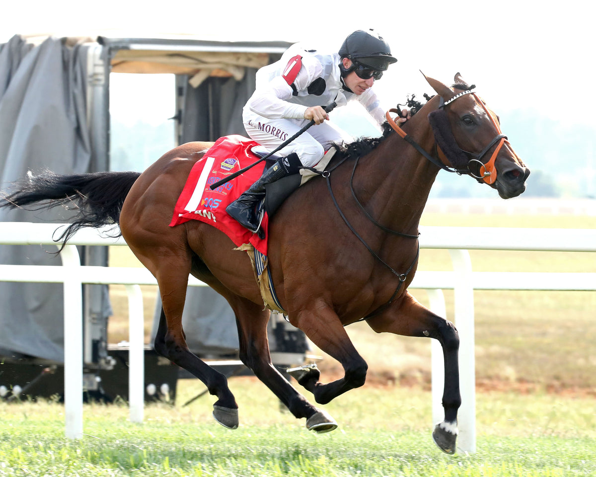 TIFFANY - The AGS Kentucky Turf Cup Invitational G2 - 09-05-26 - R07 - KD - Finish 03