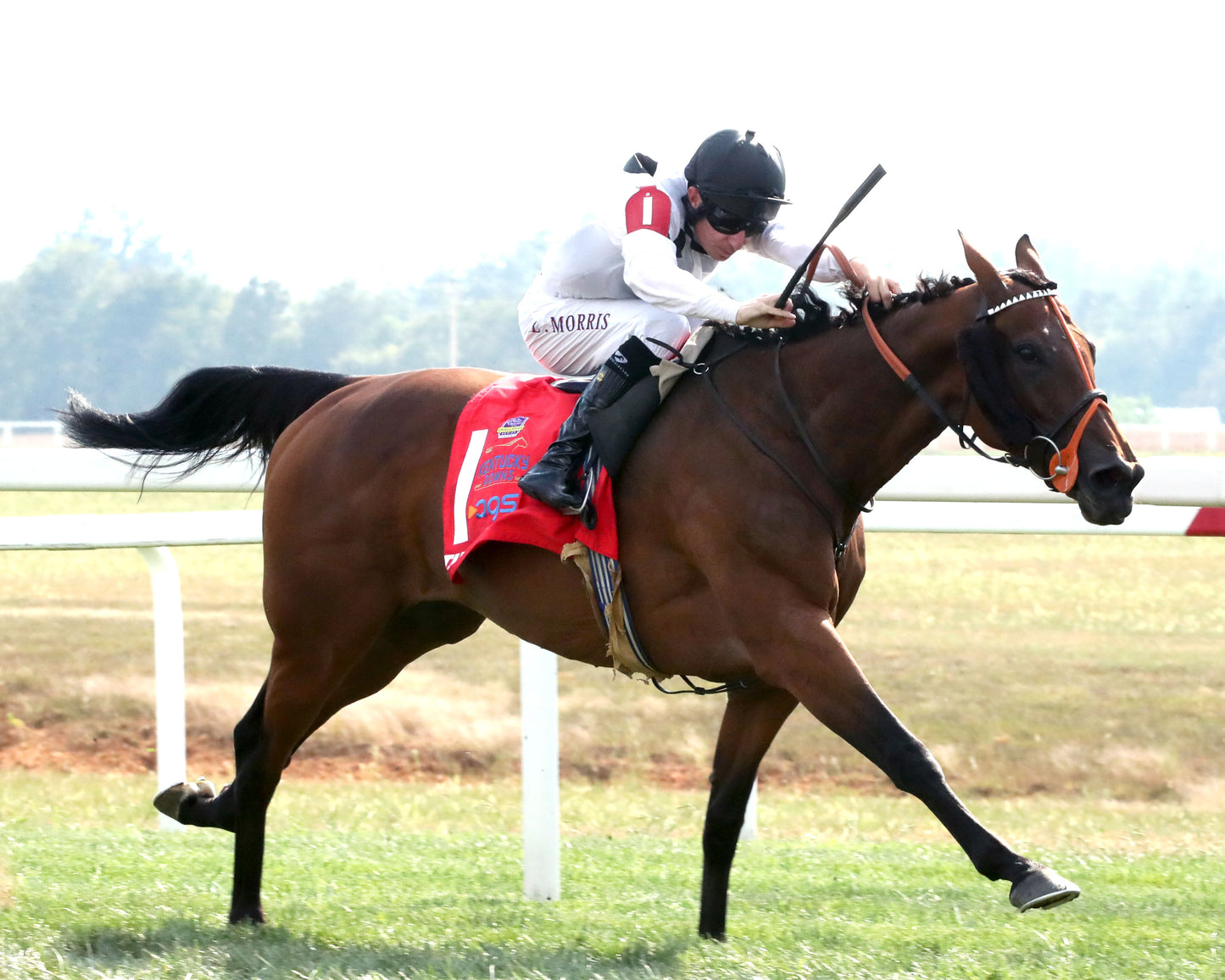 TIFFANY - The AGS Kentucky Turf Cup Invitational G2 - 09-05-26 - R07 - KD - Finish 05