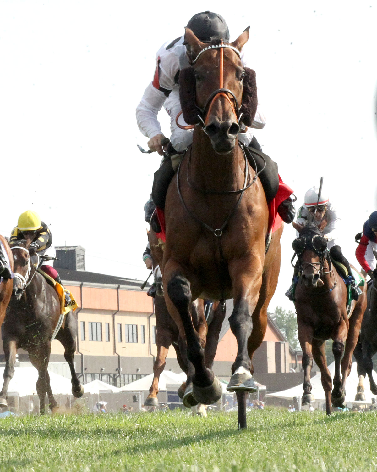 TIFFANY - The AGS Kentucky Turf Cup Invitational G2 - 09-05-26 - R07 - KD - Under Rail 01