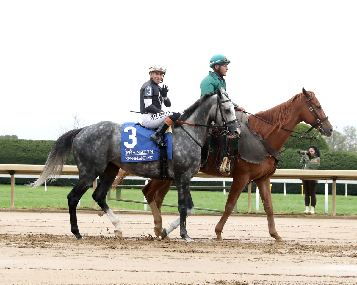 TIME TO DAZZLE - 101126 - Race 08 - KEE The Franklin G2 - Post Parade 02