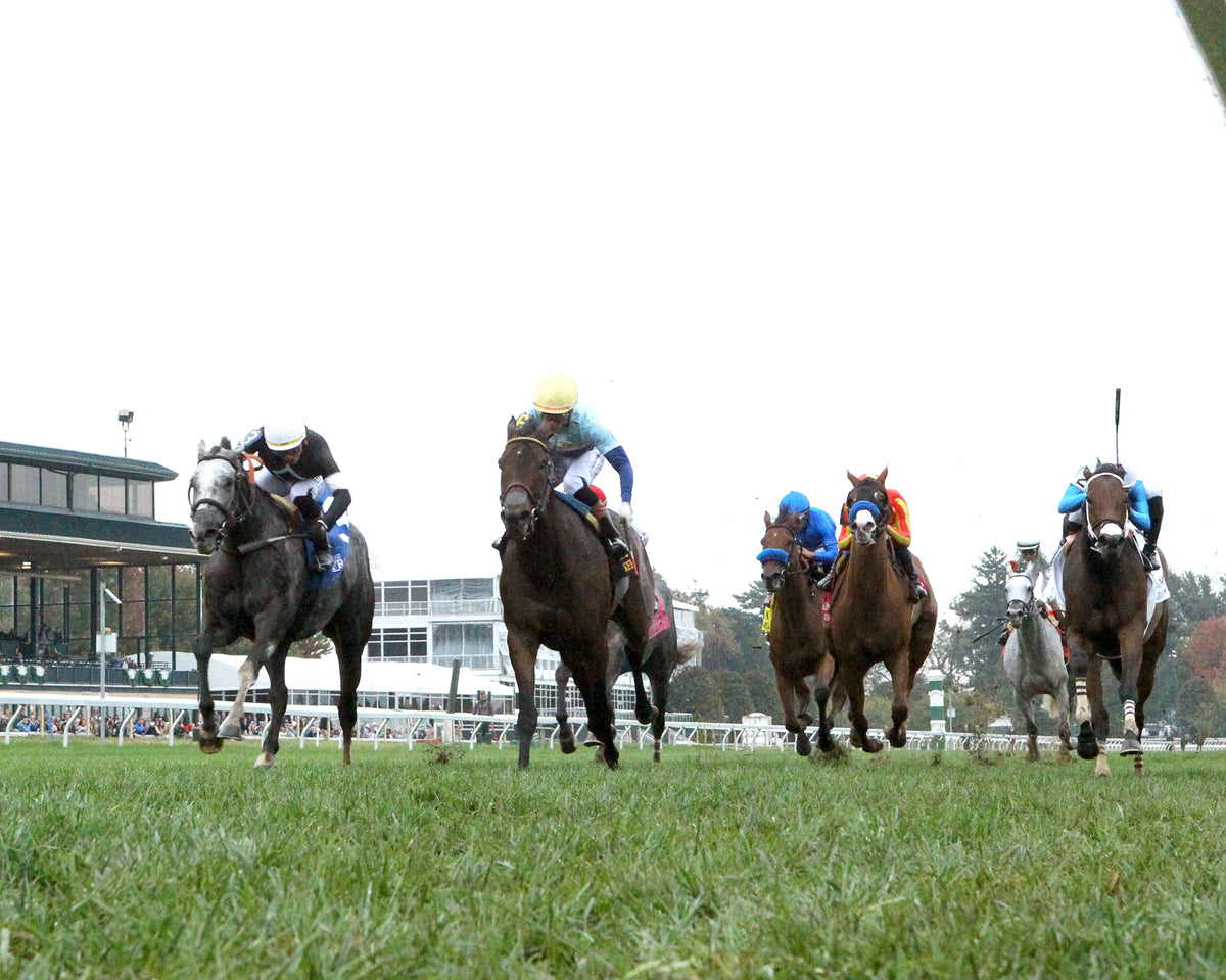 TIME TO DAZZLE - 101126 - Race 08 - KEE The Franklin G2 - Under Rail 01