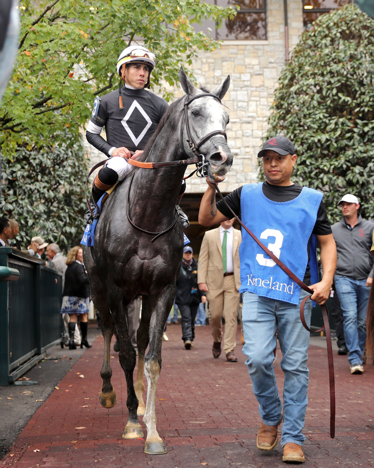 TIME TO DAZZLE - 101126 - Race 08 - KEE The Franklin G2 - Walk In 01