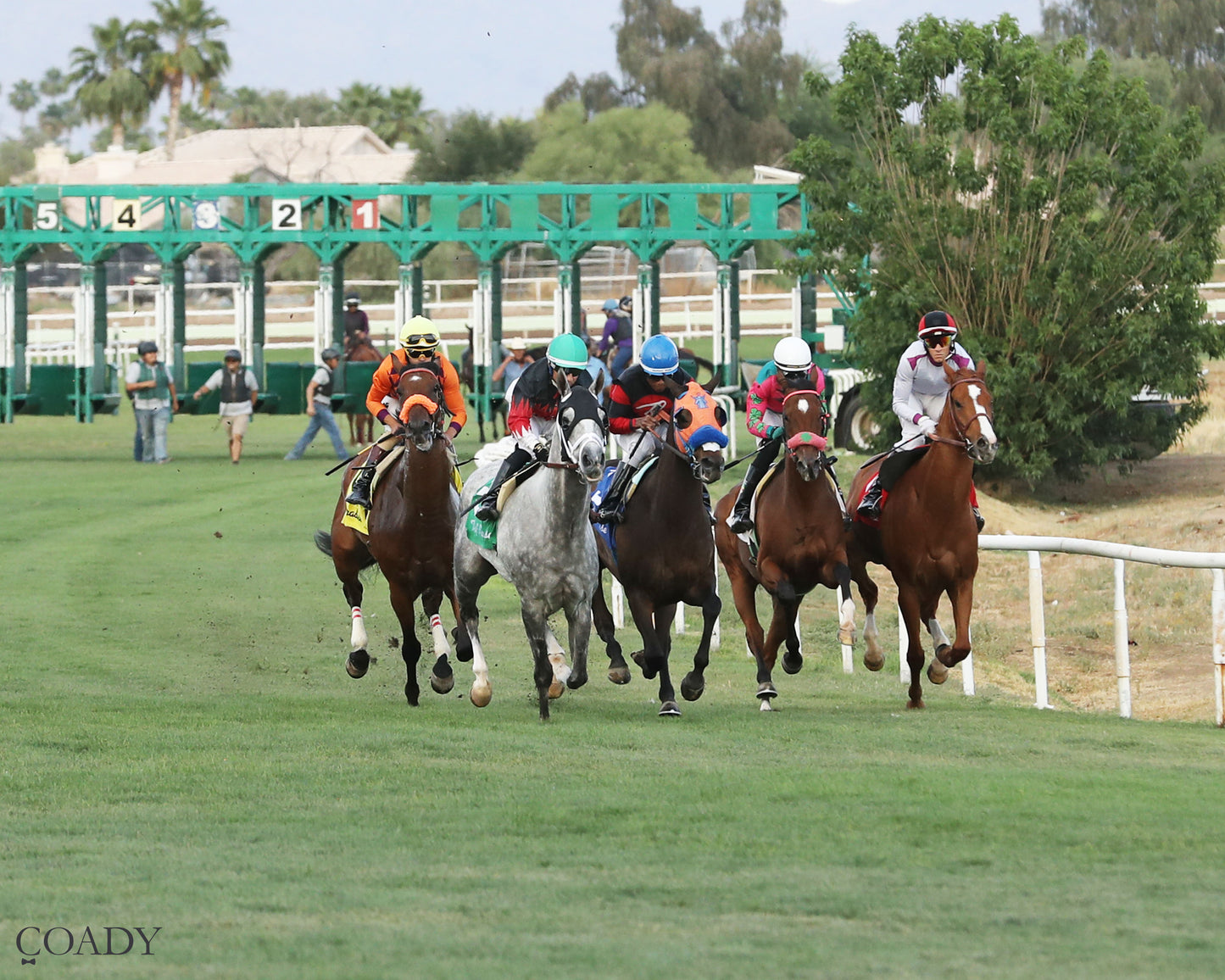 TIME TO FLY - Dwight D Patterson - 04-25-26 - R09 - Turf Paradise - Start - Coady Media - Kurtis Coady Photography