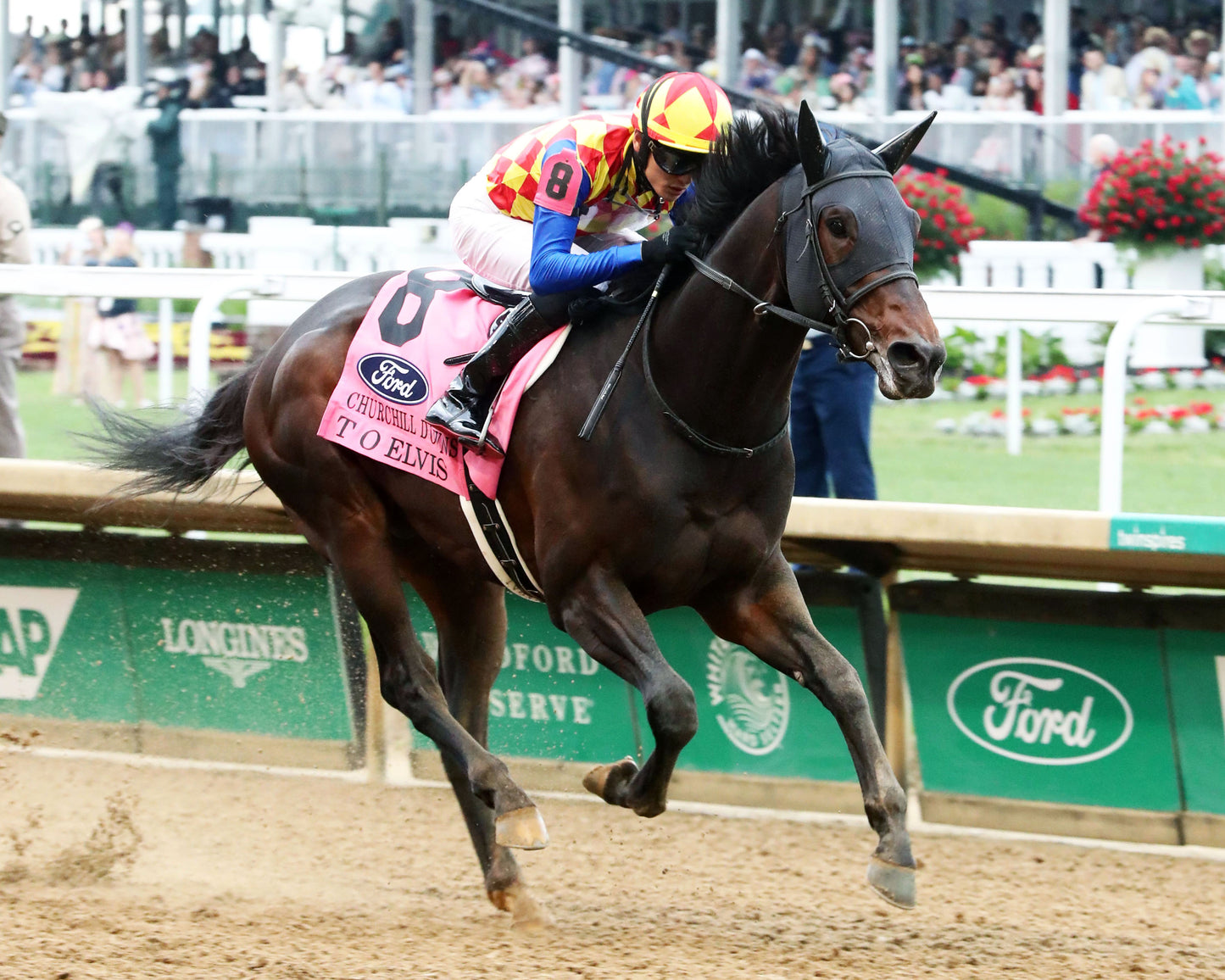 T O ELVIS - 050226 - Race 10 - CD - Finish 04 - Coady Media - Kurtis Coady Photography