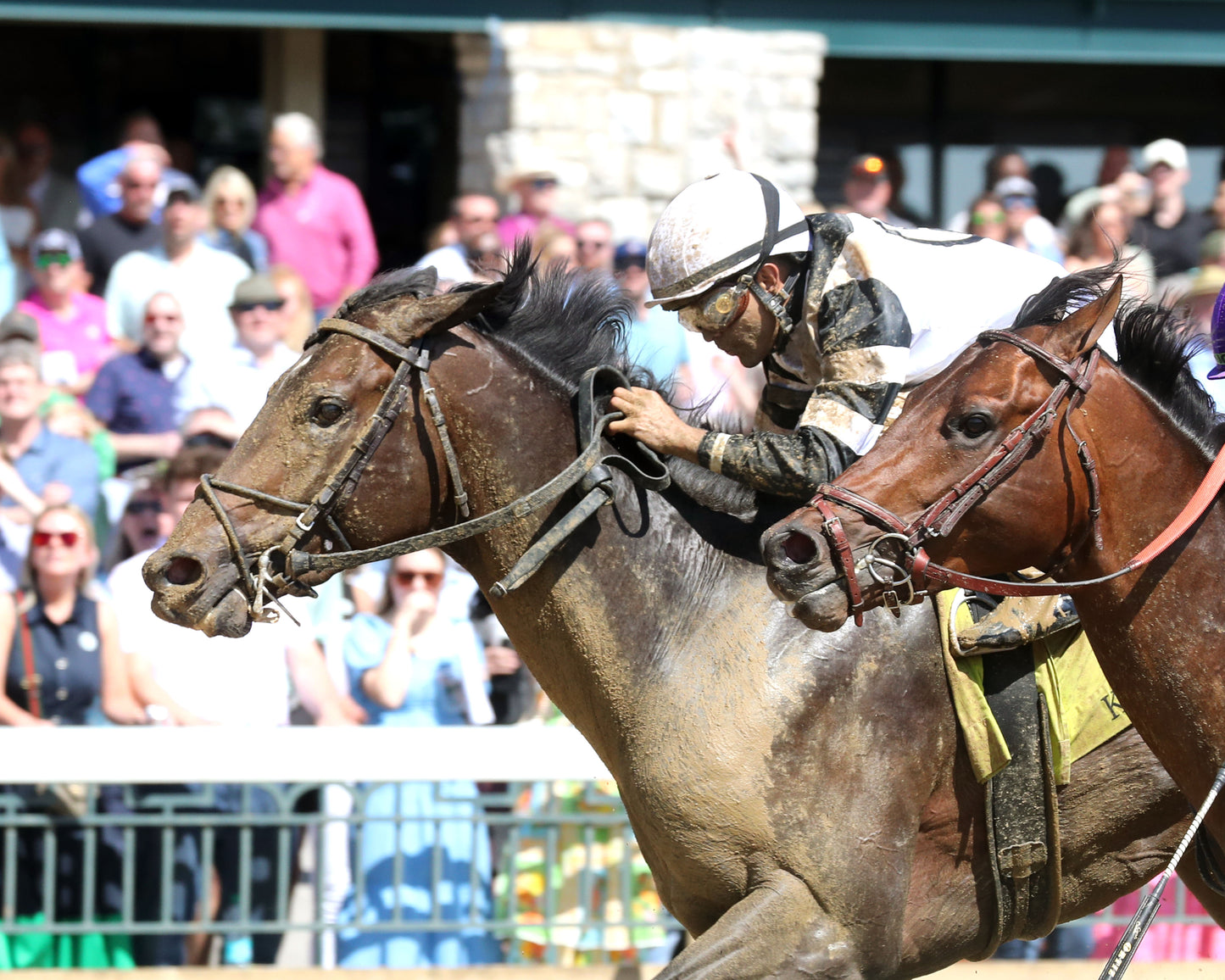 TROUBLE CALLING - 040326 - Race 05 - KEE The Lafayette - 78th Running - Inside Finish 01 - Coady Media - Kurtis Coady Photography
