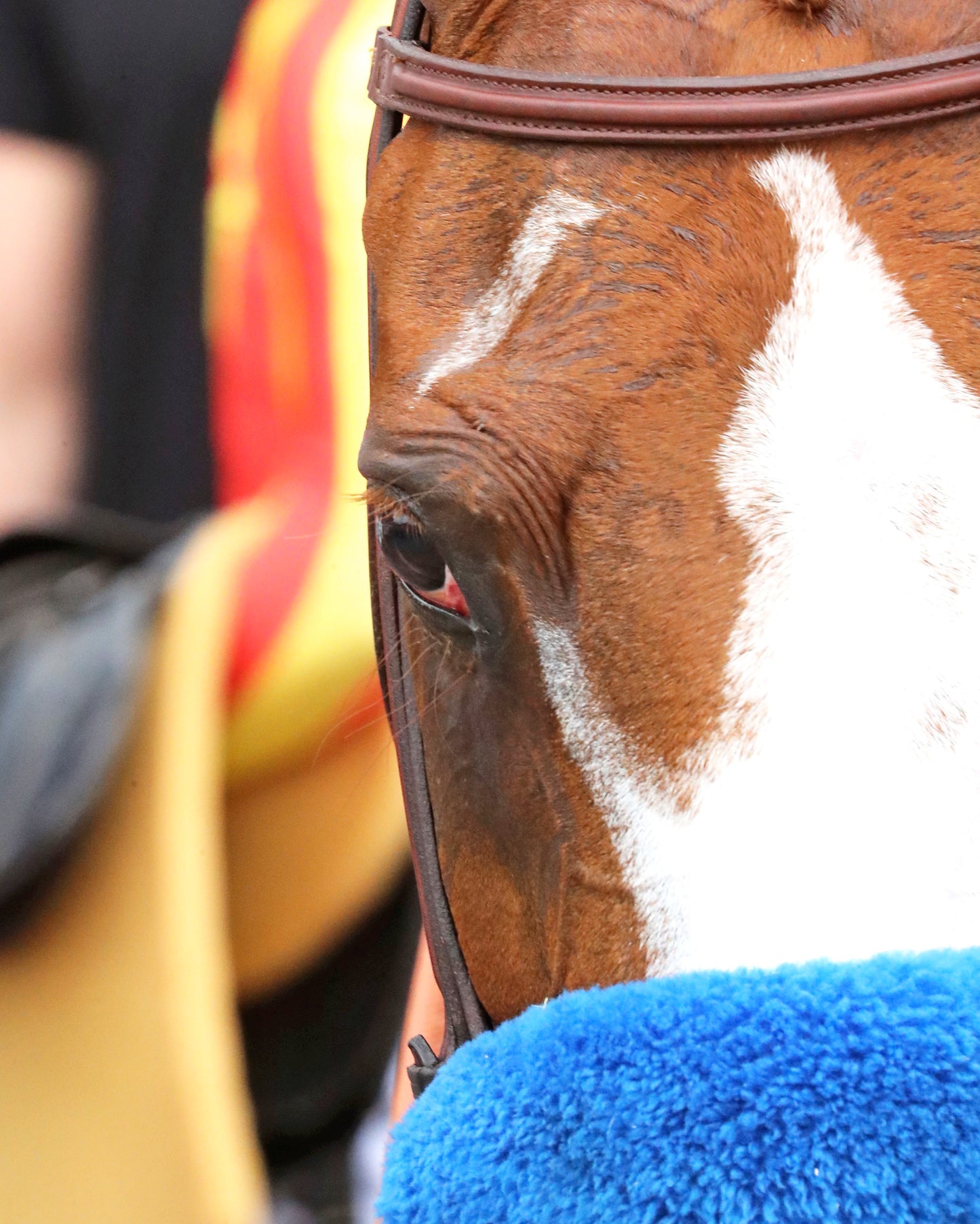 USHA - The Winning Colors G3 - 05-25-26 - R08 - CD - Come Back 05 - Coady Media - Kurtis Coady Photography