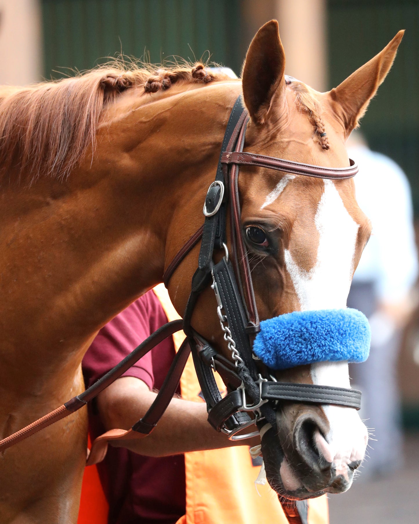 USHA - The Winning Colors G3 - 05-25-26 - R08 - CD - Paddock 01 - Coady Media - Kurtis Coady Photography