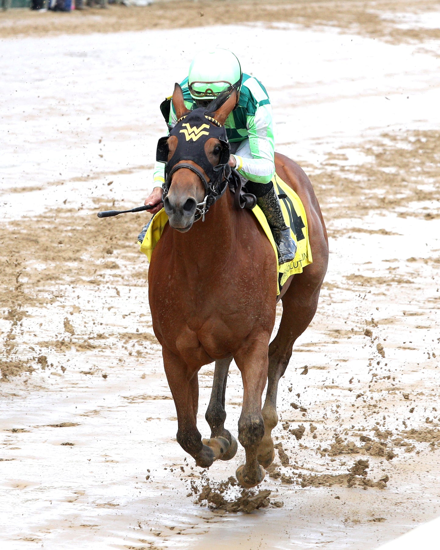 WAGGLEY - The Kentucky Juvenile - 04-29-26 - R06 - CD - Inside Finish 01 - Coady Media - Kurtis Coady Photography