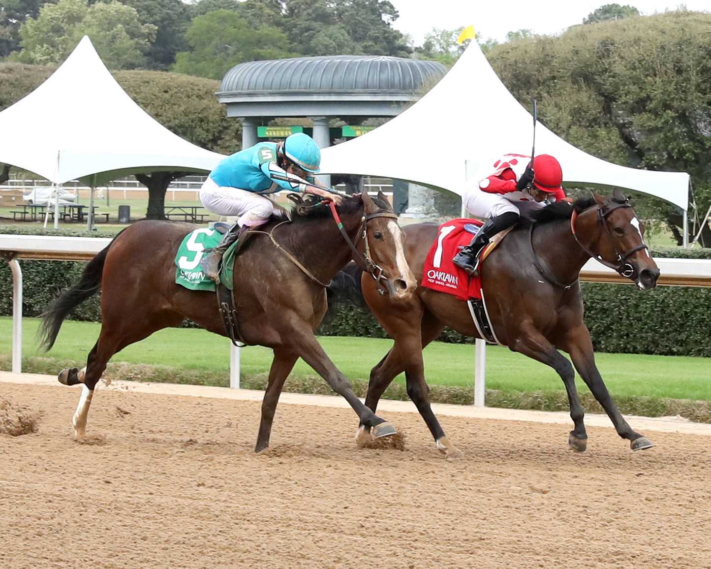 WALK AWAY KAYE - Rainbow Miss Stakes - 04-03-26 - R09 - Oaklawn Park - Finish 02 - Kara West - Coady Media - Kurtis Coady Photography