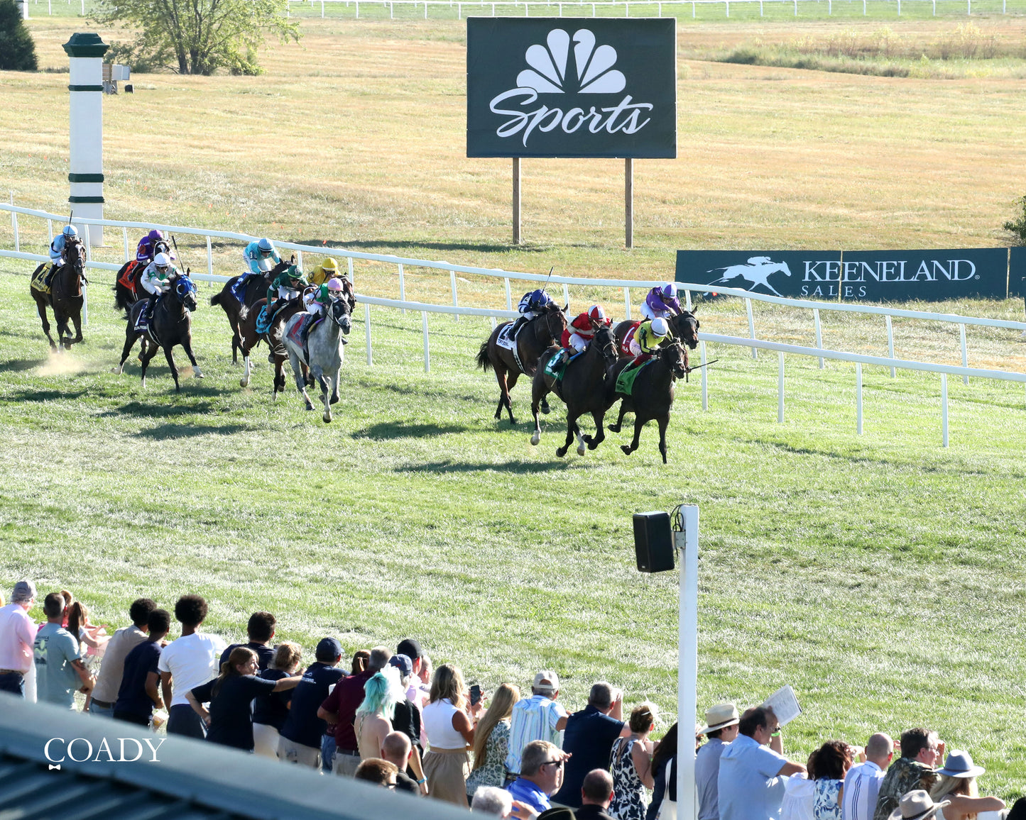 WIMBLEDON HAWKEYE - DK Horse Nashville Derby Invitational Stakes - 08-30-25 - Aerial Finish 02 - Coady Media - Kurtis Coady Photography