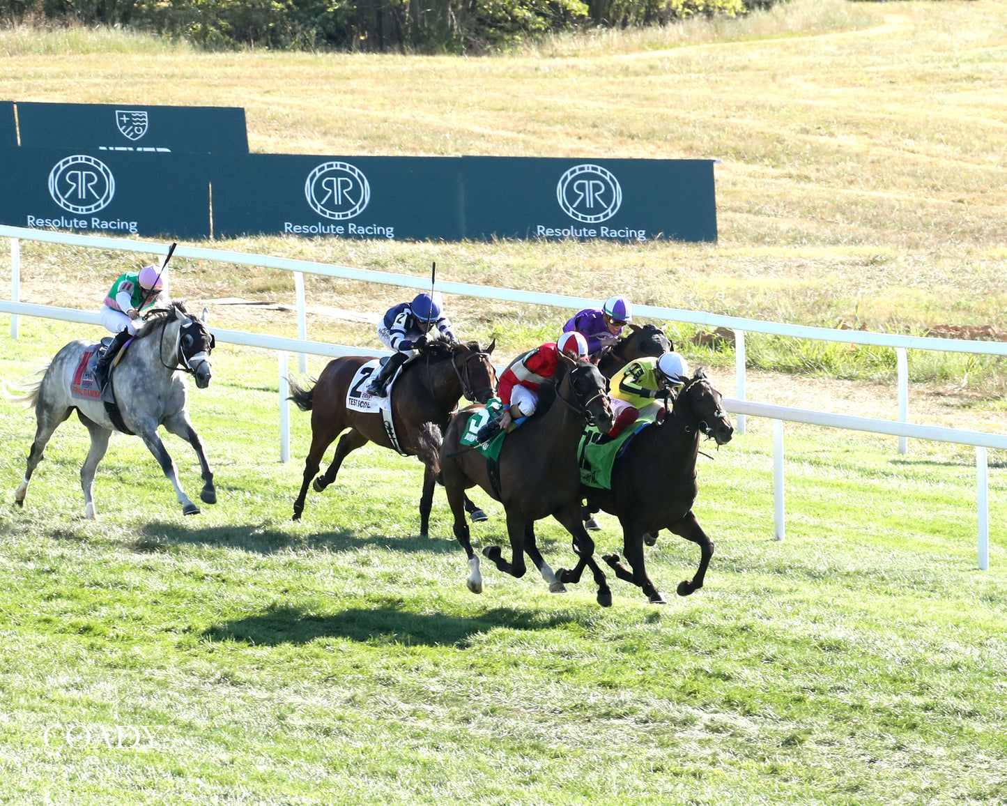 WIMBLEDON HAWKEYE - DK Horse Nashville Derby Invitational Stakes - 08-30-25 - Aerial Finish 03 - Coady Media - Kurtis Coady Photography