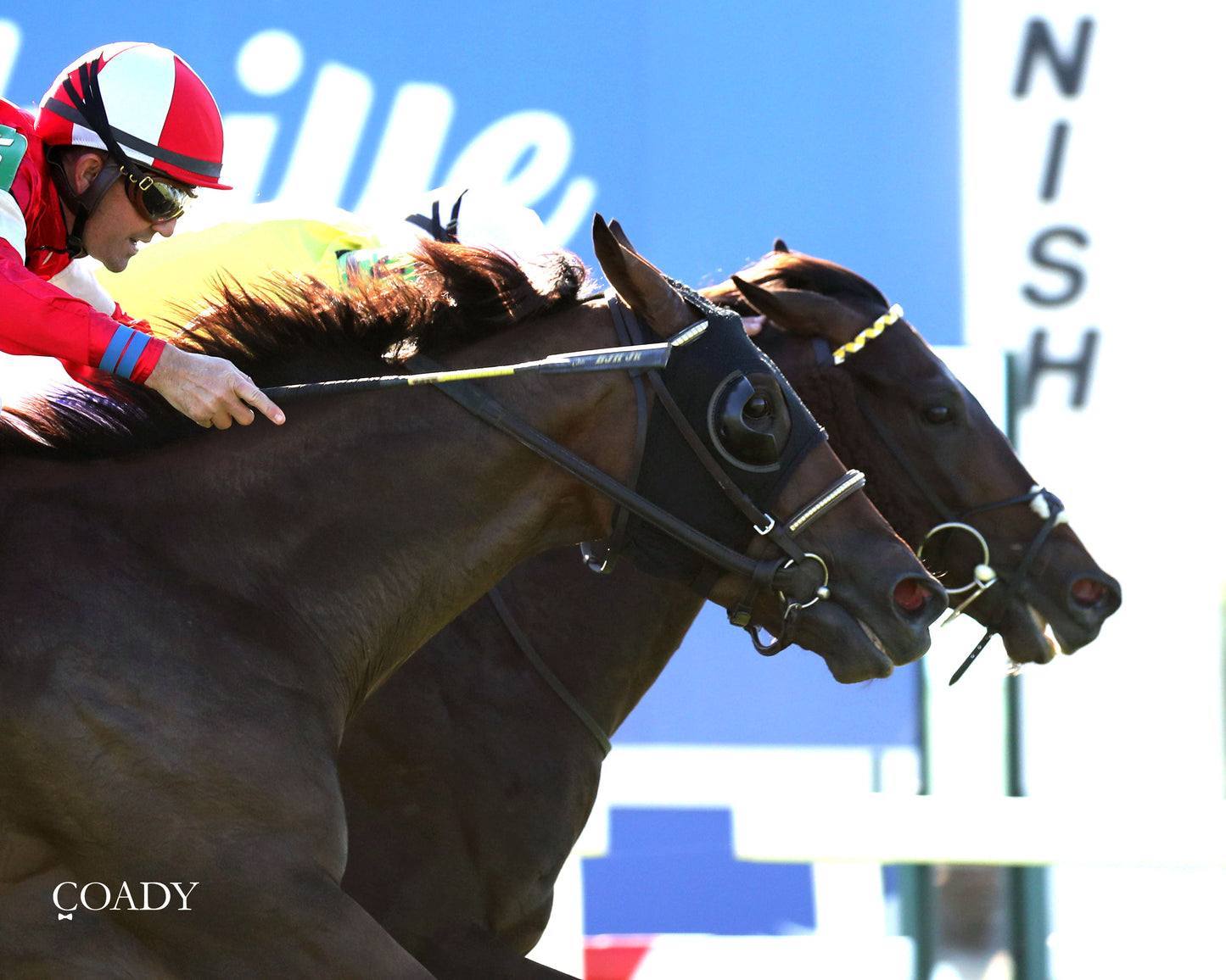 WIMBLEDON HAWKEYE - DK Horse Nashville Derby Invitational Stakes - 08-30-25 - Finish 02 - Coady Media - Kurtis Coady Photography