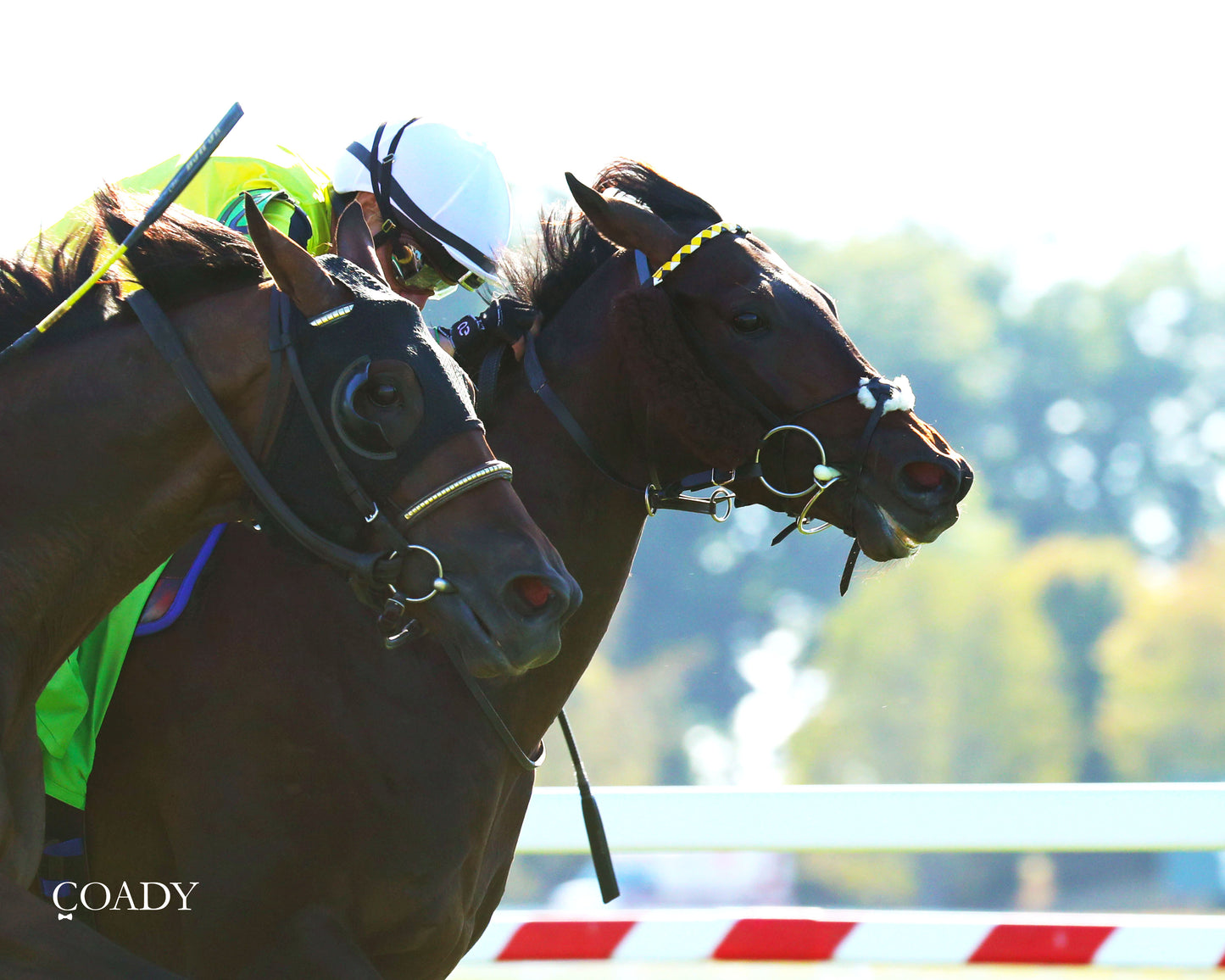 WIMBLEDON HAWKEYE - DK Horse Nashville Derby Invitational Stakes - 08-30-25 - Finish 03 - Coady Media - Kurtis Coady Photography