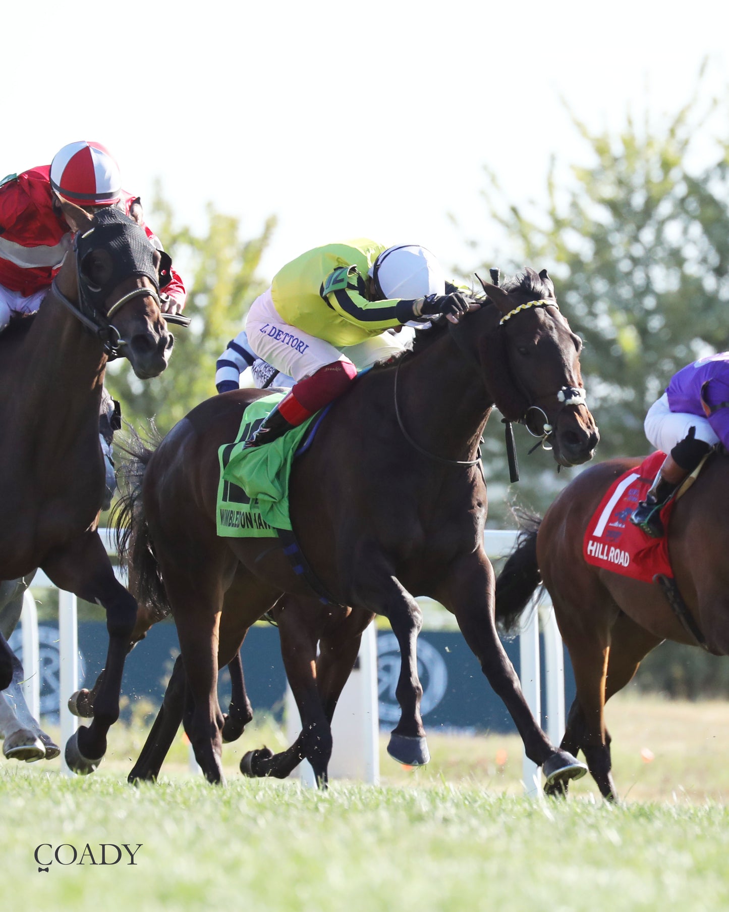 WIMBLEDON HAWKEYE - DK Horse Nashville Derby Invitational Stakes - 08-30-25 - Finish 06 - Coady Media - Kurtis Coady Photography