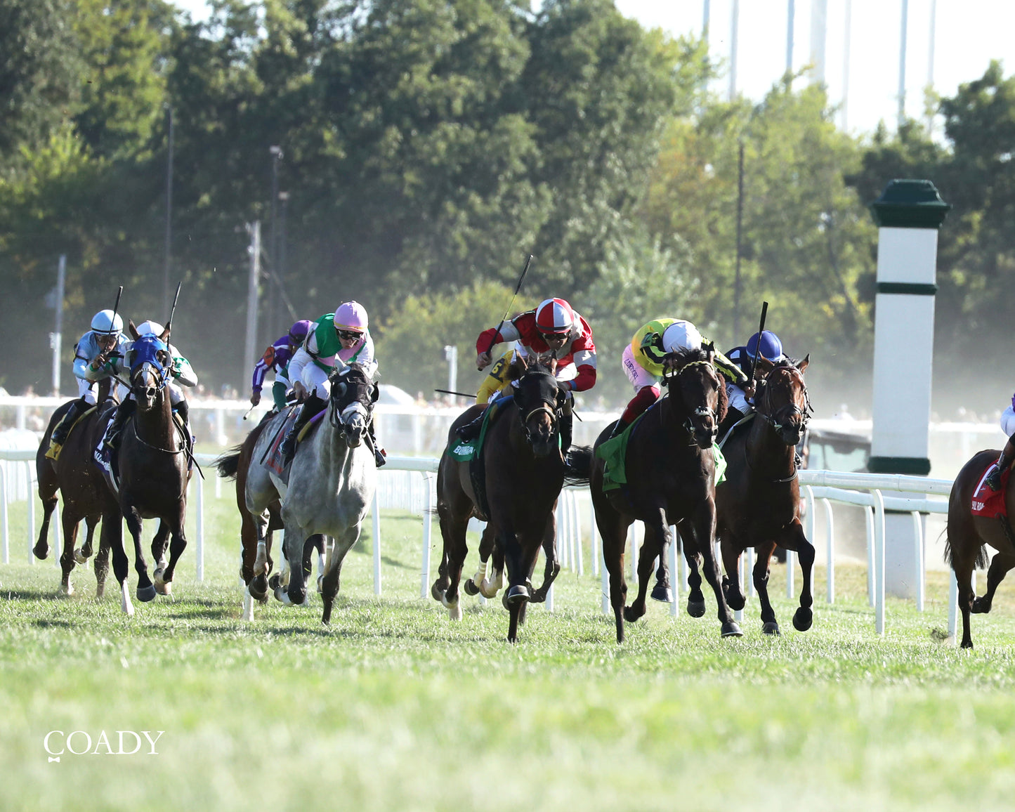 WIMBLEDON HAWKEYE - DK Horse Nashville Derby Invitational Stakes - 08-30-25 - Head On 01 - Coady Media - Kurtis Coady Photography