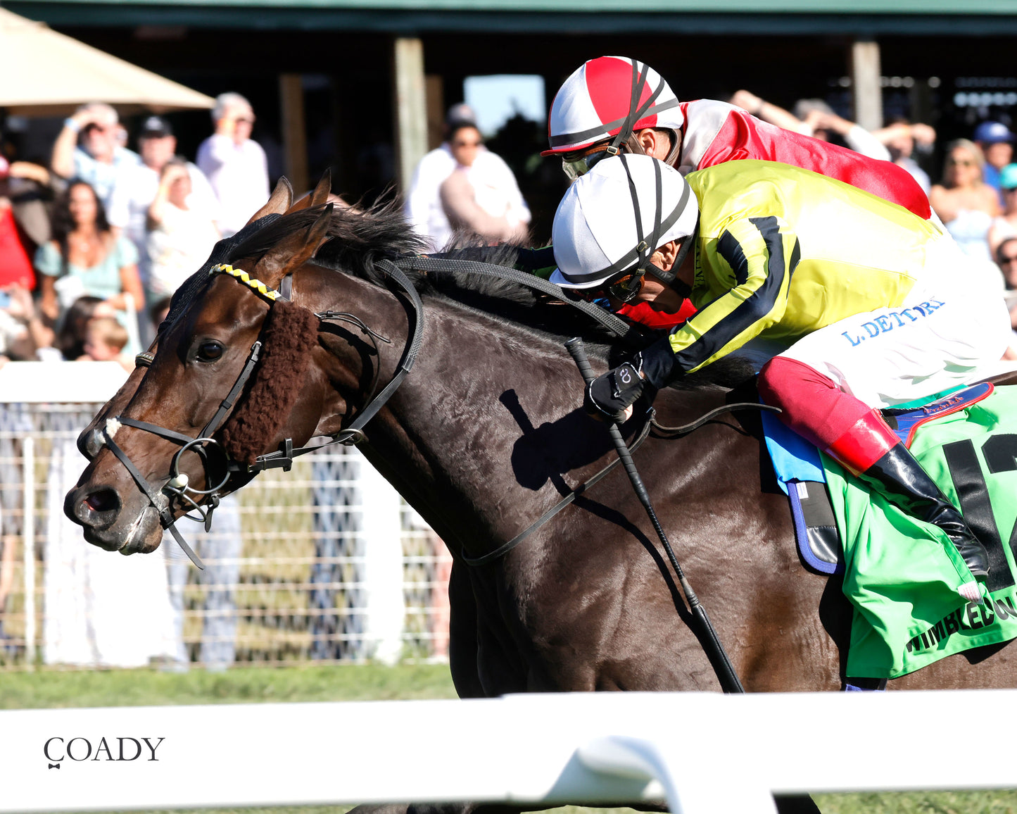 WIMBLEDON HAWKEYE - DK Horse Nashville Derby Invitational Stakes - 08-30-25 - KD - Inside Finish 01 - Coady Media - Kurtis Coady Photography