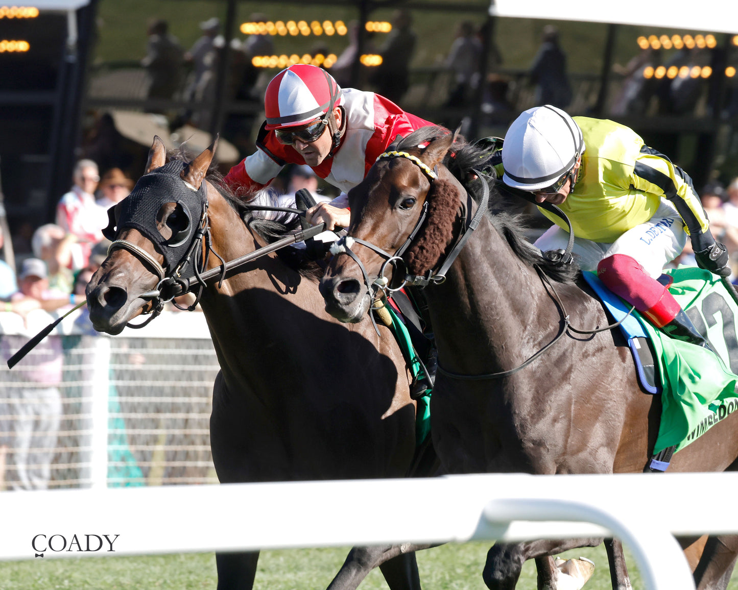 WIMBLEDON HAWKEYE - DK Horse Nashville Derby Invitational Stakes - 08-30-25 - KD - Inside Finish 02 - Coady Media - Kurtis Coady Photography