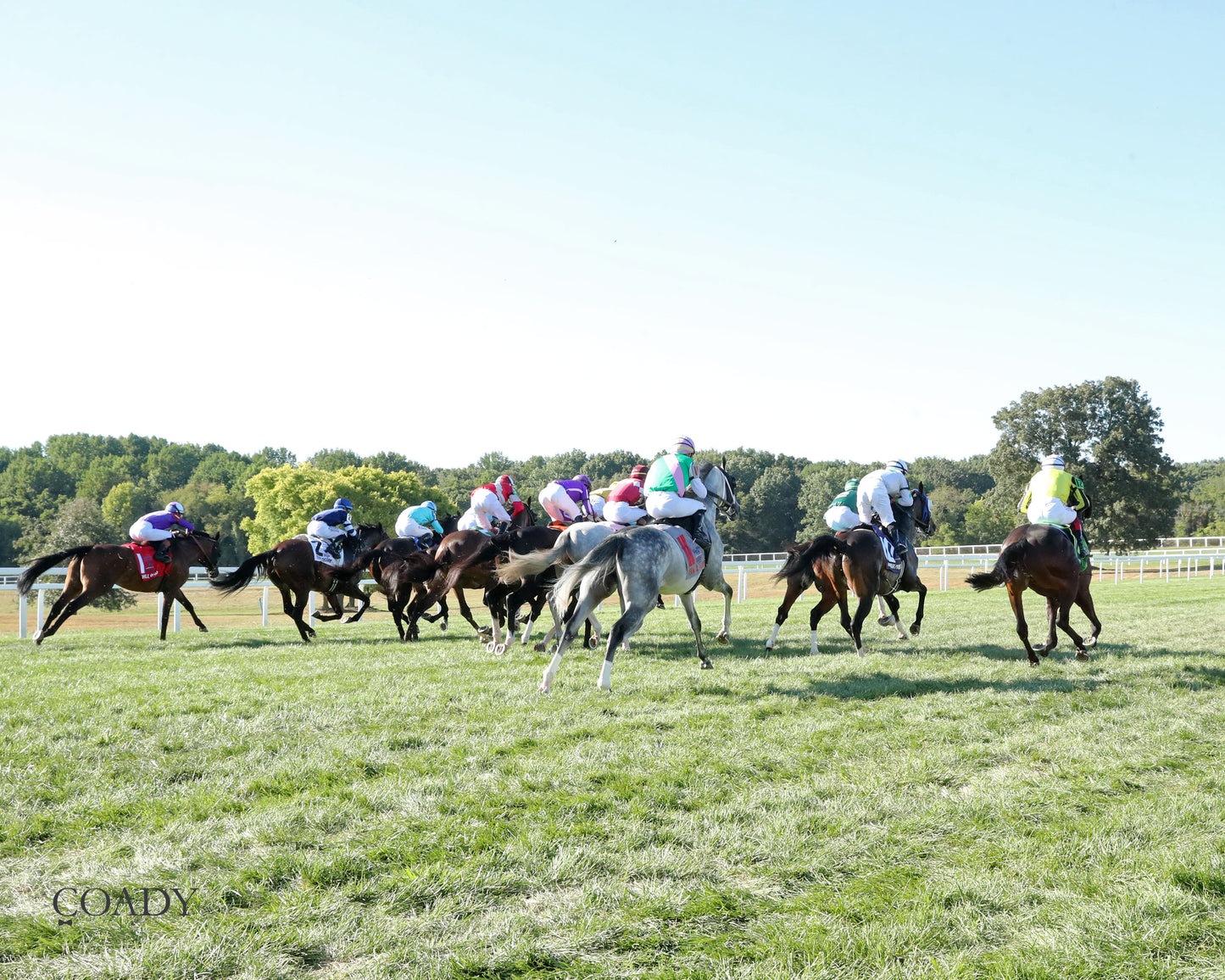 WIMBLEDON HAWKEYE - DK Horse Nashville Derby Invitational Stakes - 08-30-25 - KD - Start 02 - Coady Media - Kurtis Coady Photography