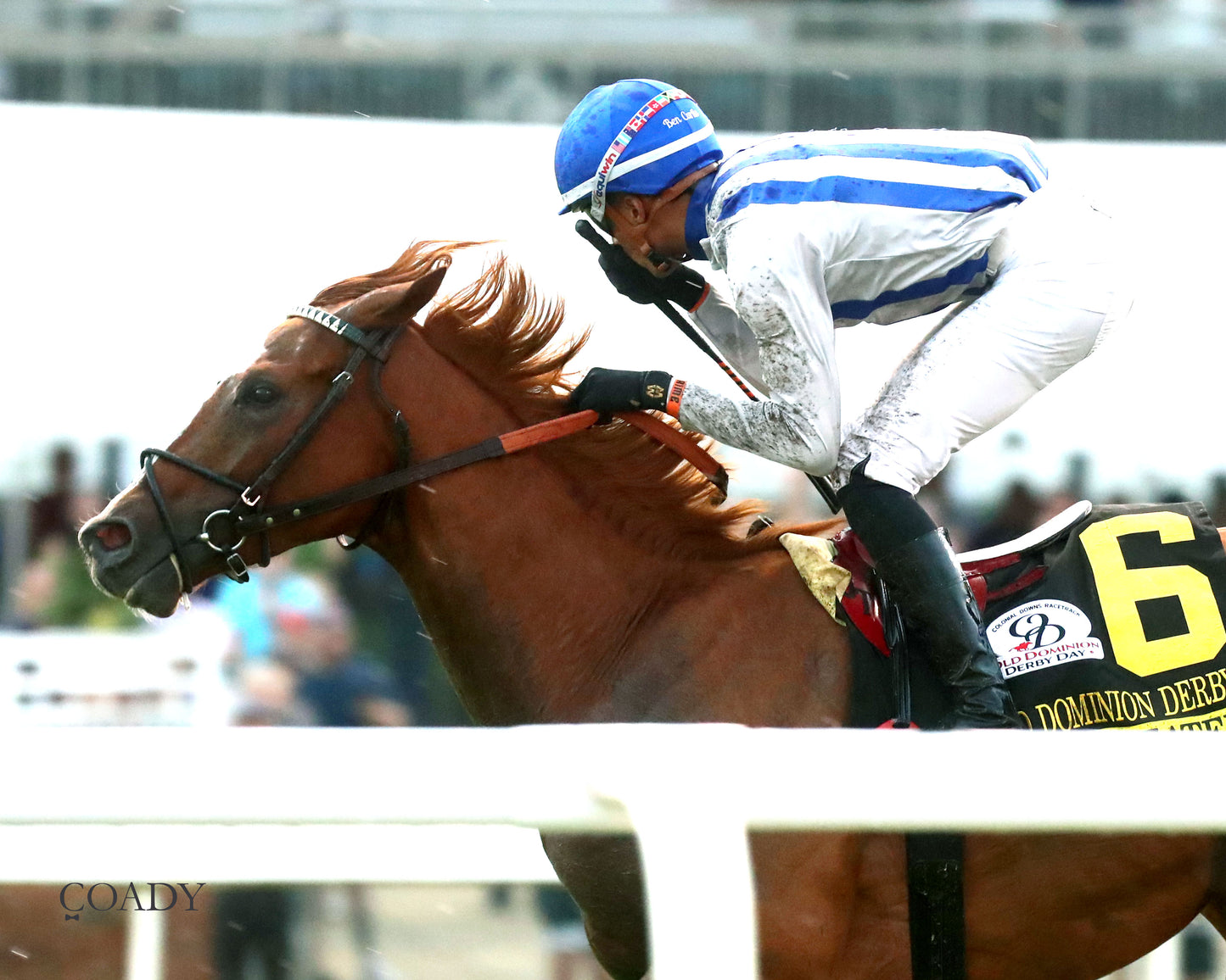 WORLD BEATER - The Old Dominion Derby G3 - 09-06-25 - R10 - CNL - Inside Finish 02 - Coady Media - Kurtis Coady Photography