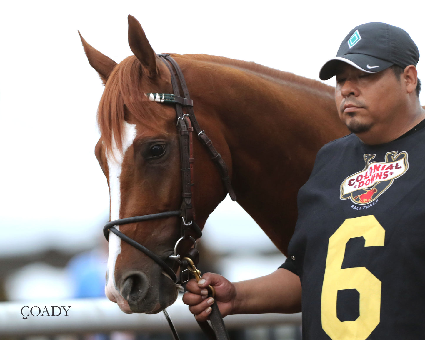 WORLD BEATER - The Old Dominion Derby G3 - 09-06-25 - R10 - CNL - Paddock 03 - Coady Media - Kurtis Coady Photography