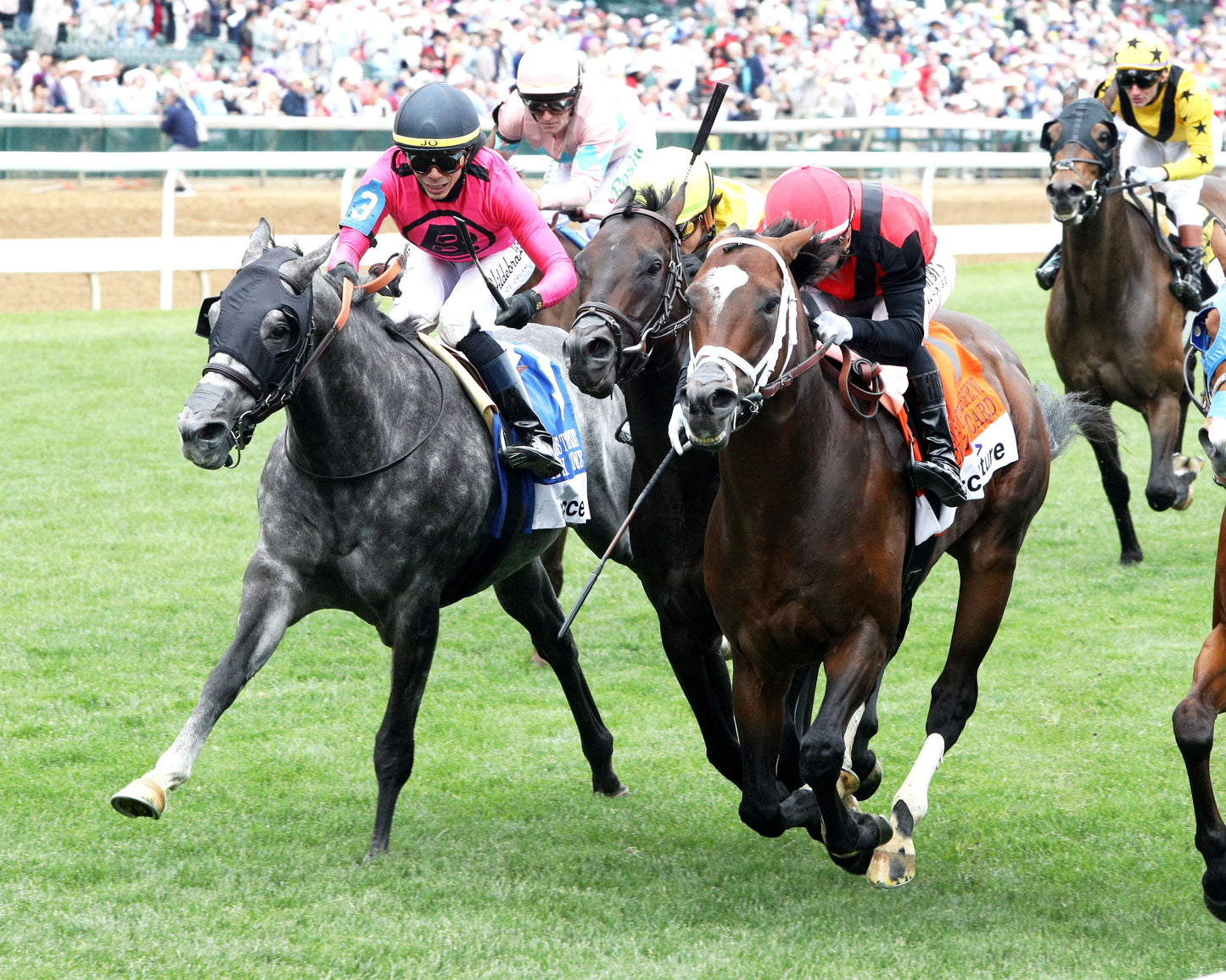 YELLOW CARD - 050226 - Race 05 - CD - Inside Finish 01 - Coady Media - Kurtis Coady Photography