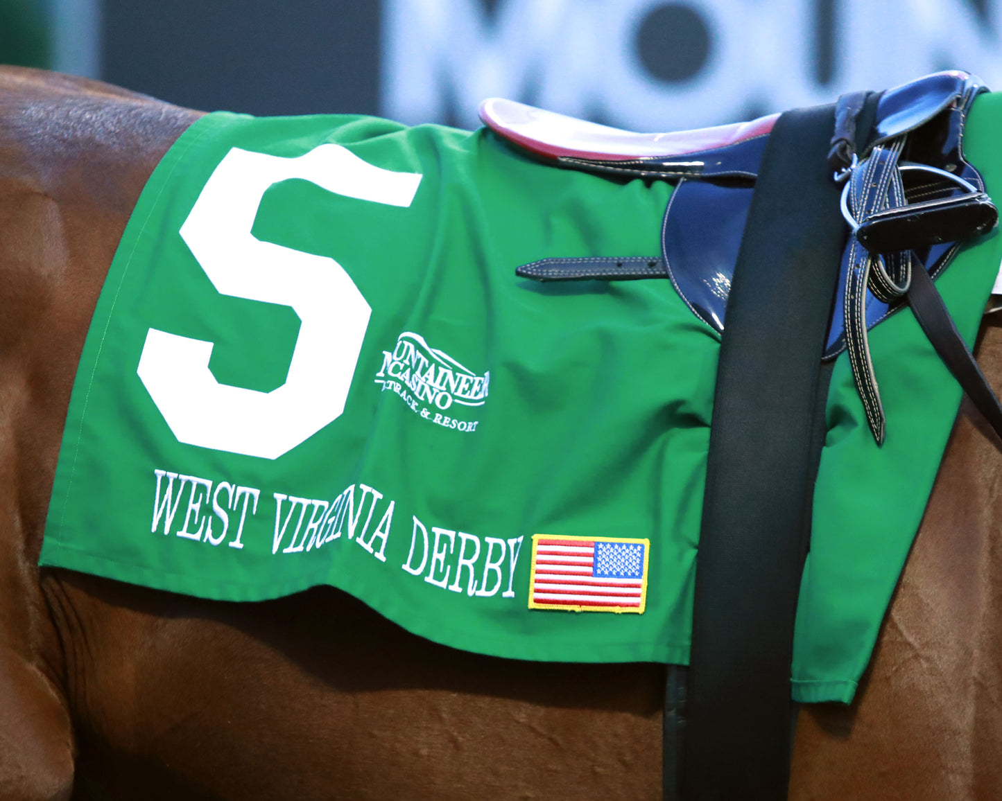 ZIHNAL - The West Virginia Derby - G3 - 08-09-26 - R08 - Saddle Towel 02