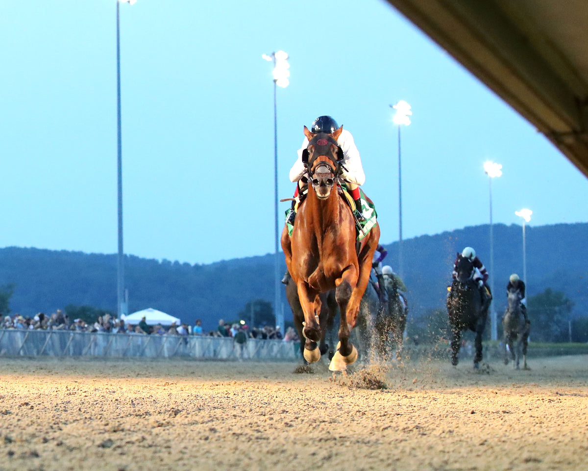 ZIHNAL - The West Virginia Derby - G3 - 08-09-26 - R08 - Under Rail 01