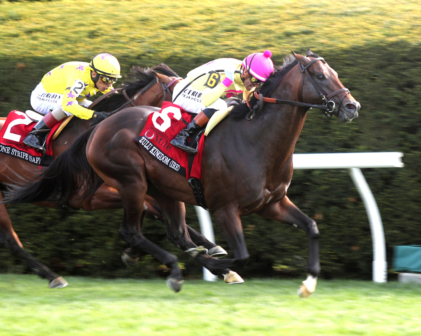 ZULU KINGDOM - Maker's Mark Mile Stakes - 04-10-26 - R09 - KEE - Finish 02 - Coady Media - Kurtis Coady Photography