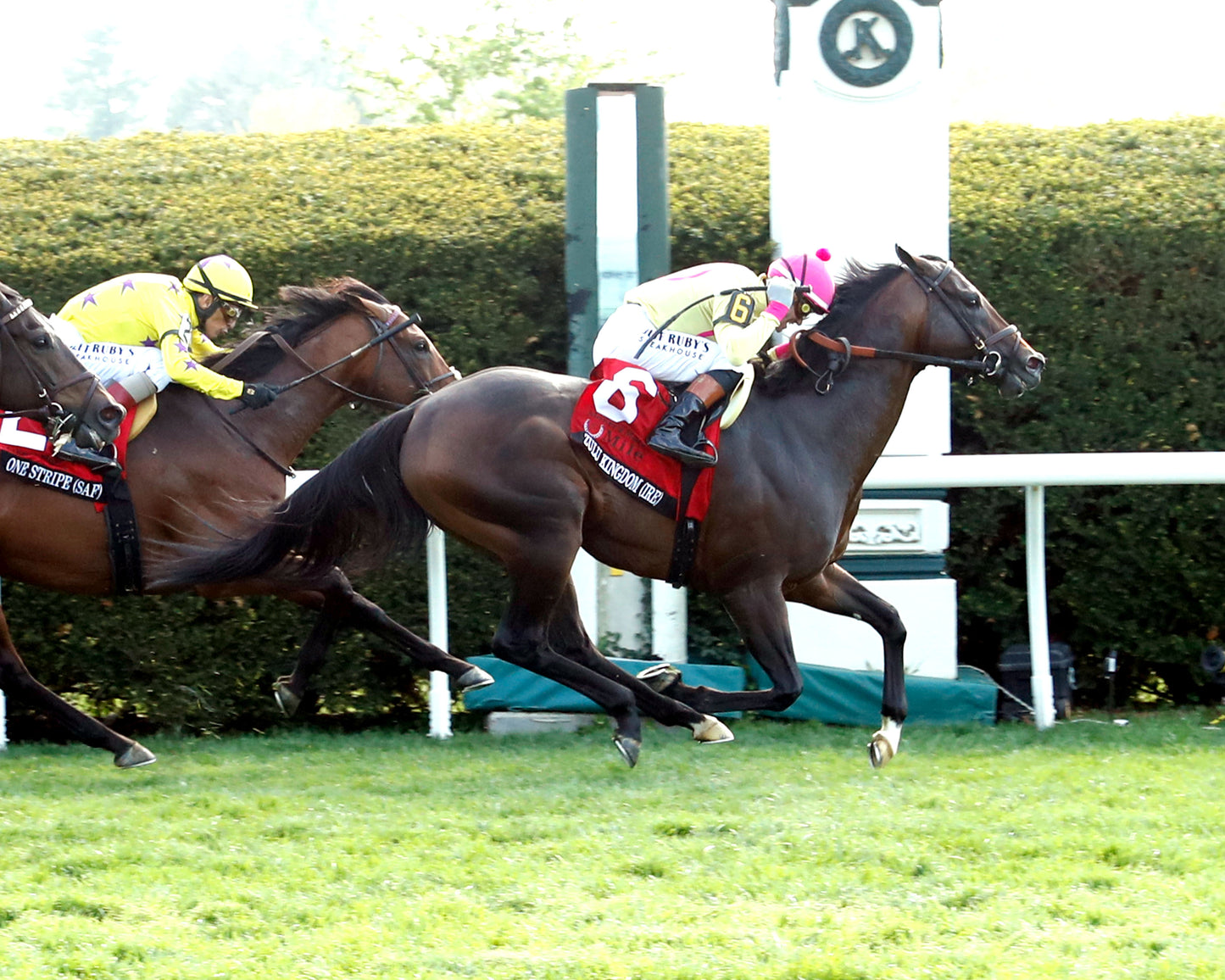 ZULU KINGDOM - Maker's Mark Mile Stakes - 04-10-26 - R09 - KEE - Finish 03 - Coady Media - Kurtis Coady Photography