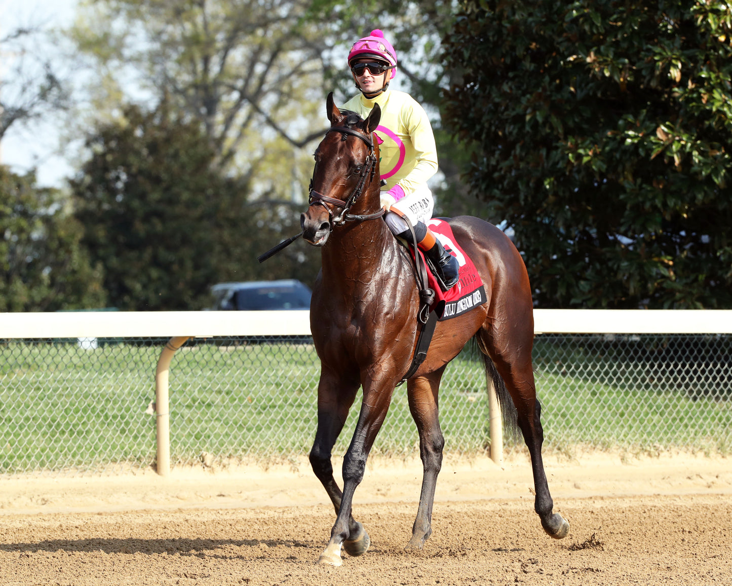 ZULU KINGDOM - Maker's Mark Mile Stakes - 04-10-26 - R09 - KEE - Post Parade 02 - Coady Media - Kurtis Coady Photography