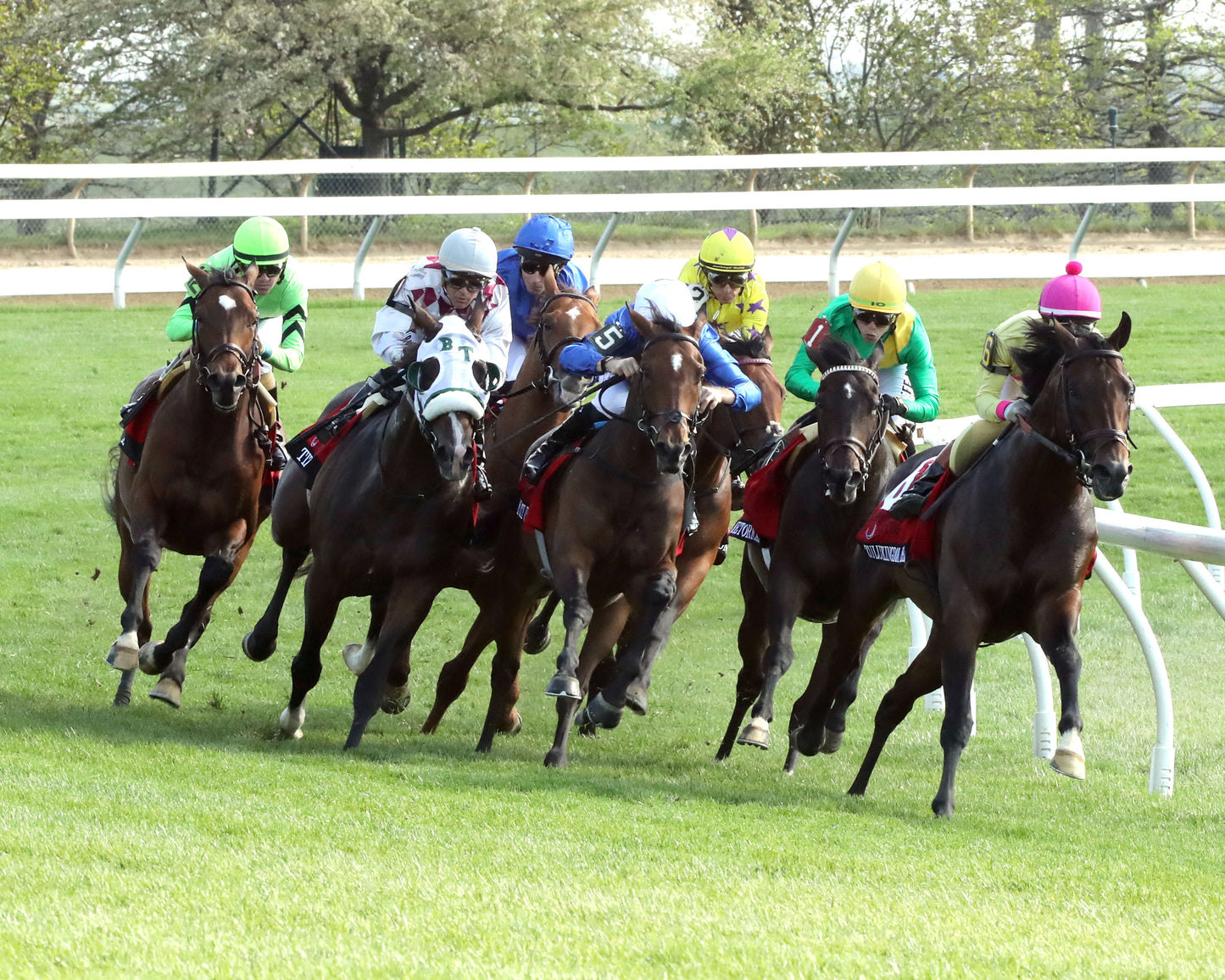 ZULU KINGDOM - Maker's Mark Mile Stakes - 04-10-26 - R09 - KEE - Turn 01 - Coady Media - Kurtis Coady Photography