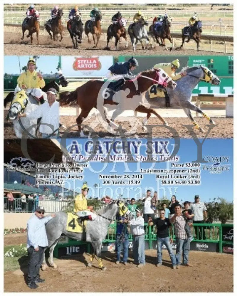 A Catchy Six - 112814 Race 02 Tup Turf Paradise