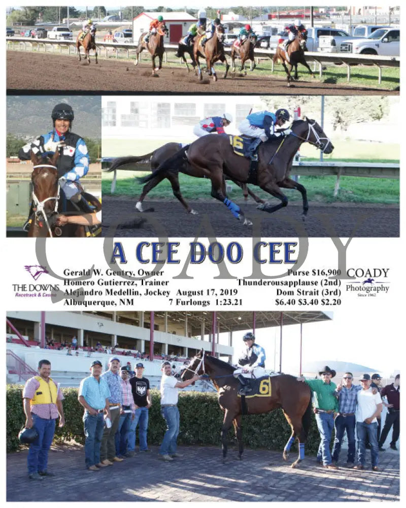 A Cee Doo - 08-17-19 R01 Alb Delta Downs