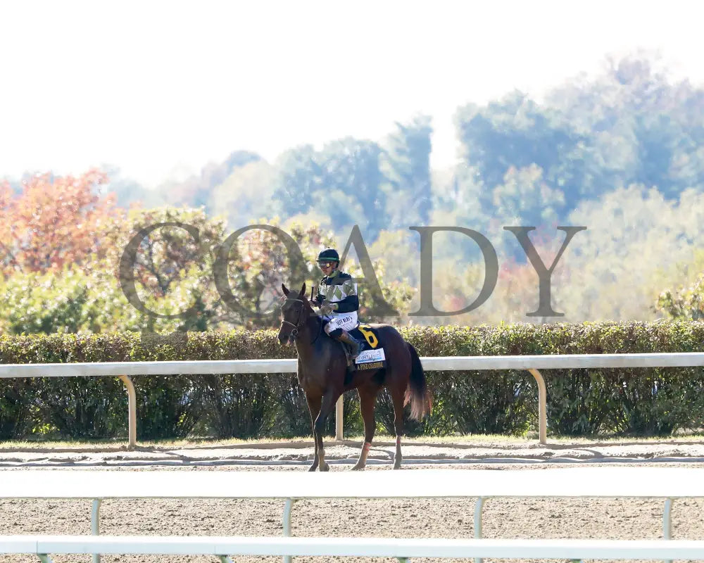 A FINE CHARDONNAY - The Dean Dorton Myrtlewood - 10-24-25 - R06 - KEE - Come Back 03 Keeneland