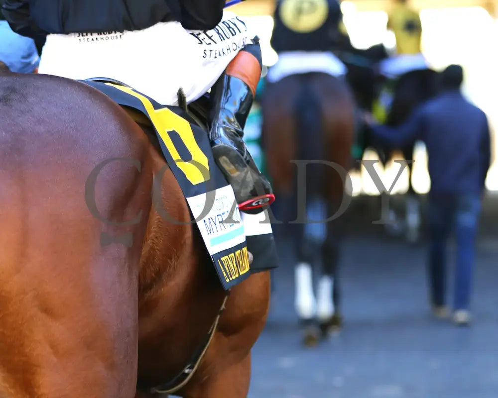 A FINE CHARDONNAY - The Dean Dorton Myrtlewood - 10-24-25 - R06 - KEE - Paddock 03 Keeneland