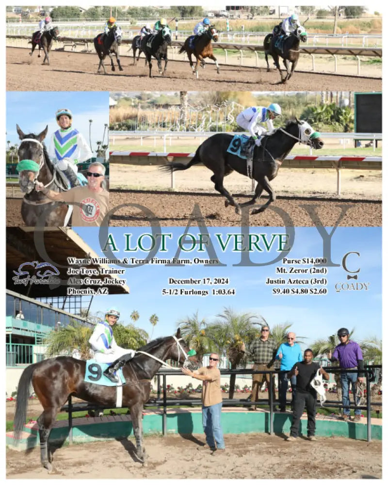 A Lot Of Verve - 12-17-24 R05 Tup Turf Paradise