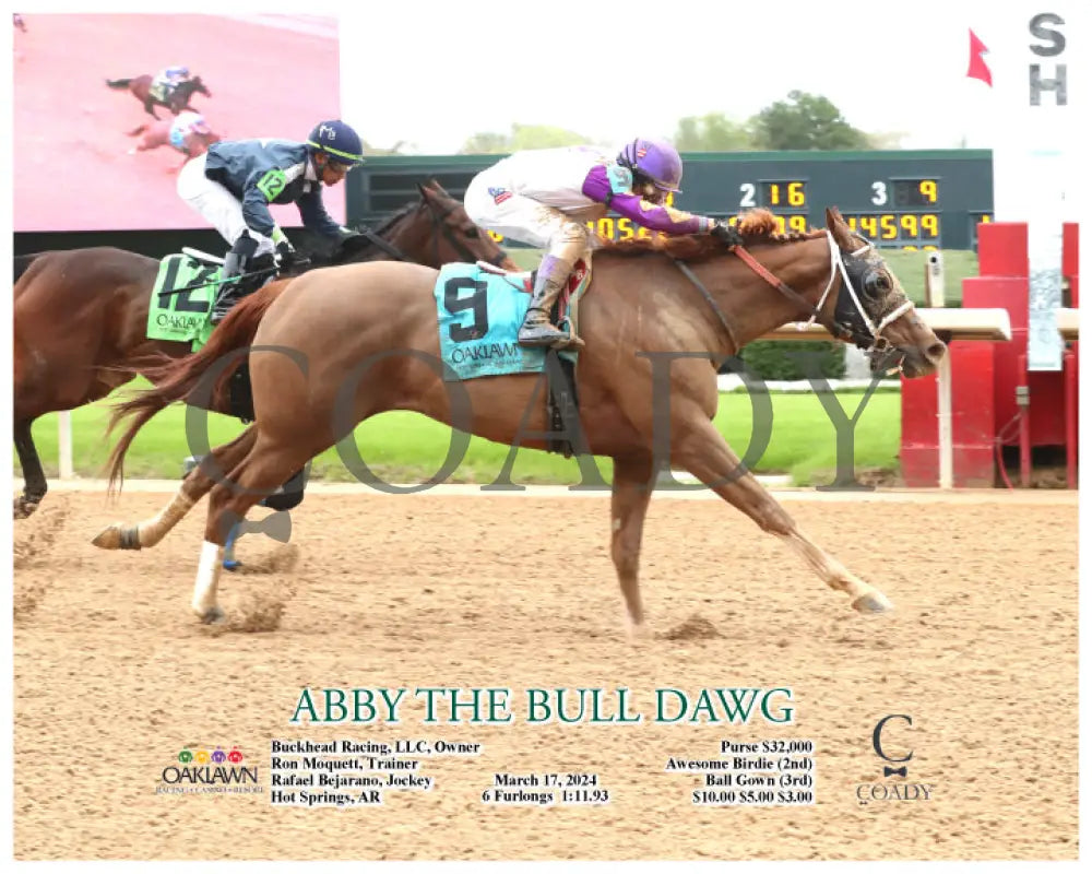 Abby The Bull Dawg - 03 - 17 - 24 R05 Op Action Oaklawn Park