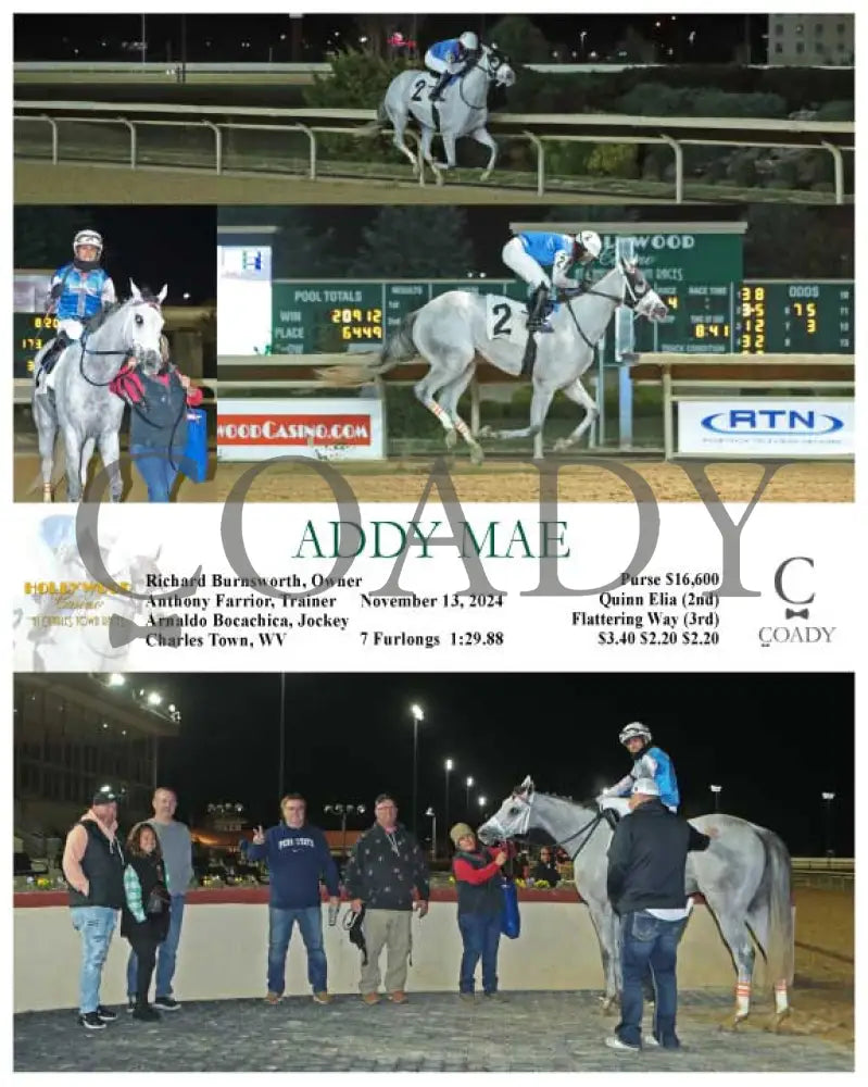 Addy Mae - 11-13-24 R04 Ct Hollywood Casino At Charles Town Races