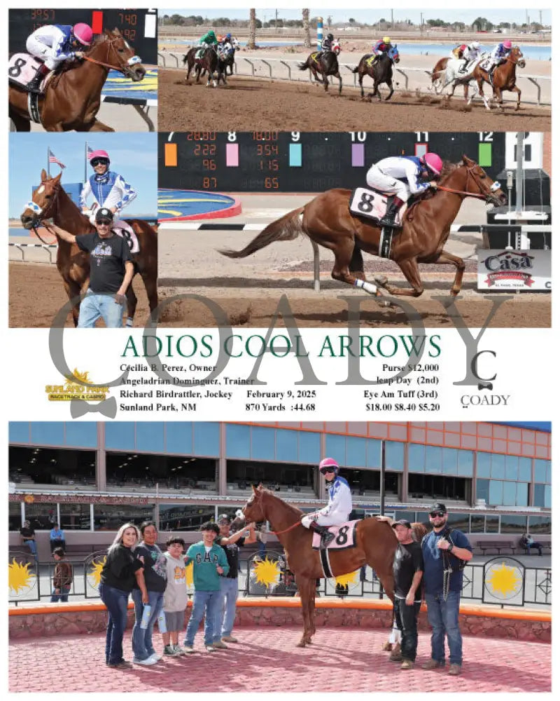 ADIOS COOL ARROWS - 02-09-25 - R01 - SUN Turfway Park