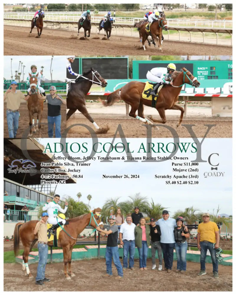 Adios Cool Arrows - 11-26-24 R03 Tup Turf Paradise