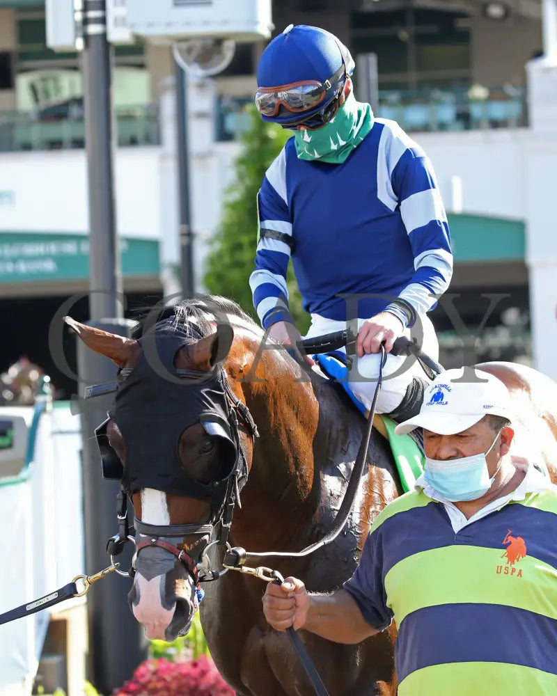 Admission Office - The Louisville G3 83Rd Running 06-13-20 R11 Cd Paddock 03 Churchill Downs