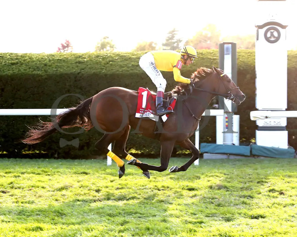 ADMIT - The Bank of America Valley View - G2 - 10-24-25 - R09 - KEE - Finish 01 - Coady Media - Kurtis Coady Photography