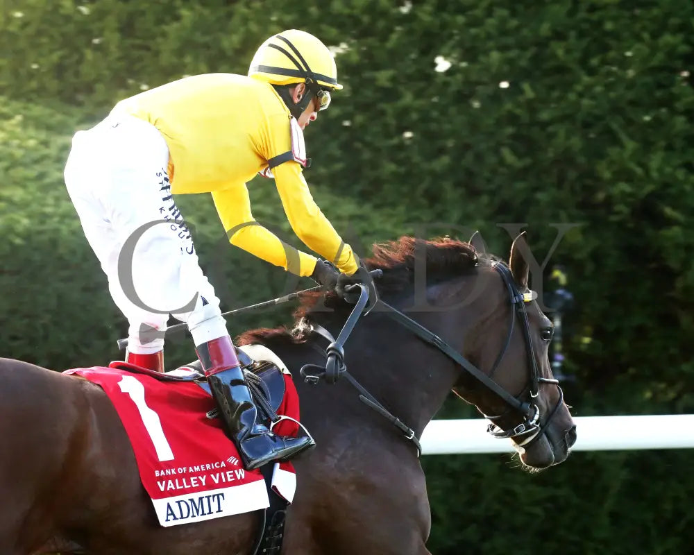 ADMIT - The Bank of America Valley View - G2 - 10-24-25 - R09 - KEE - Gallop Out 01 Keeneland