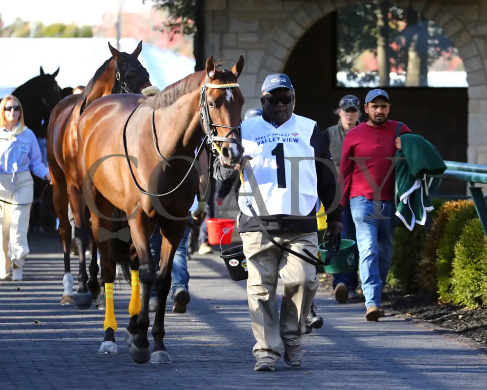 ADMIT - The Bank of America Valley View - G2 - 10-24-25 - R09 - KEE - Paddock 03 Keeneland